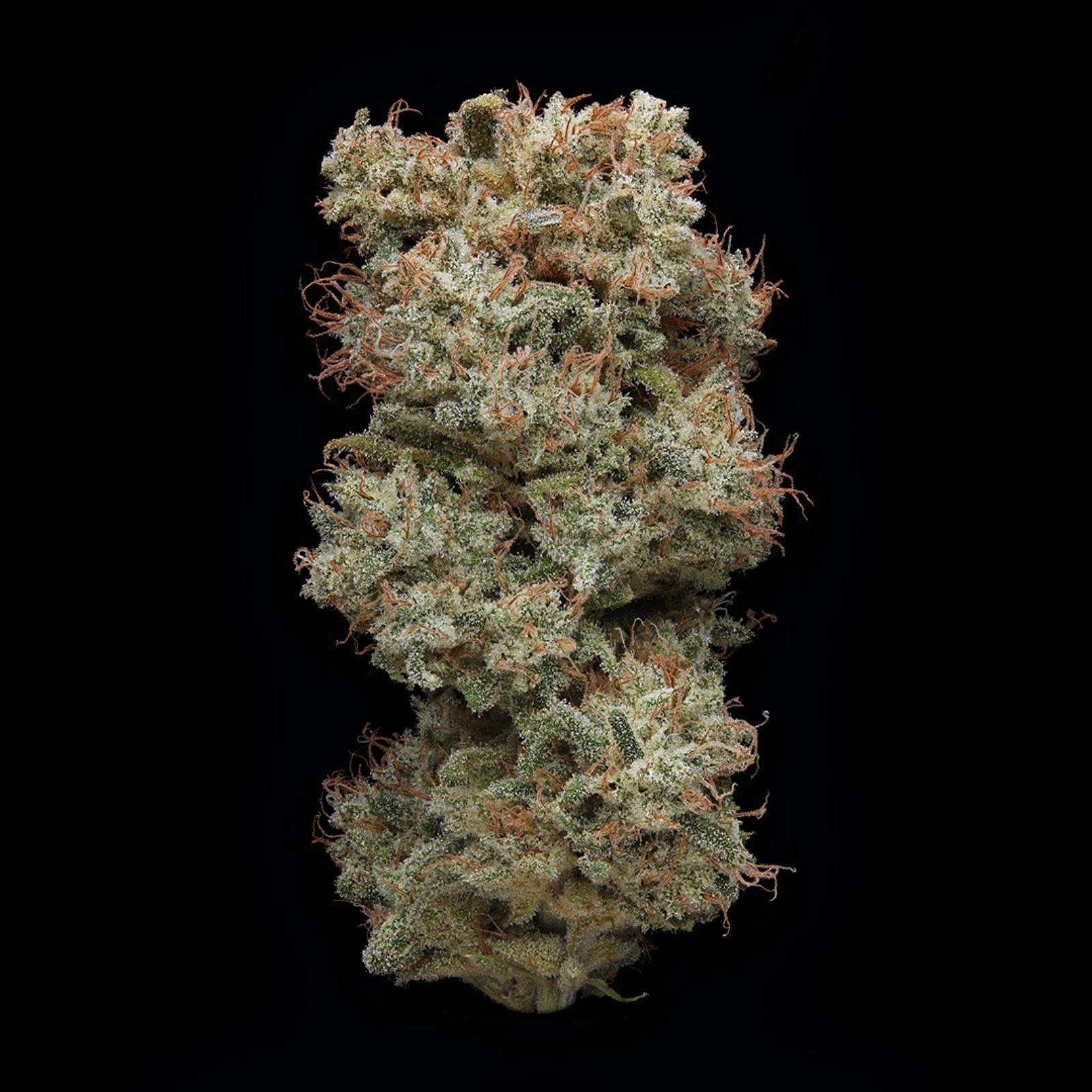 State Flower Cannabis Cherry AK Leafly